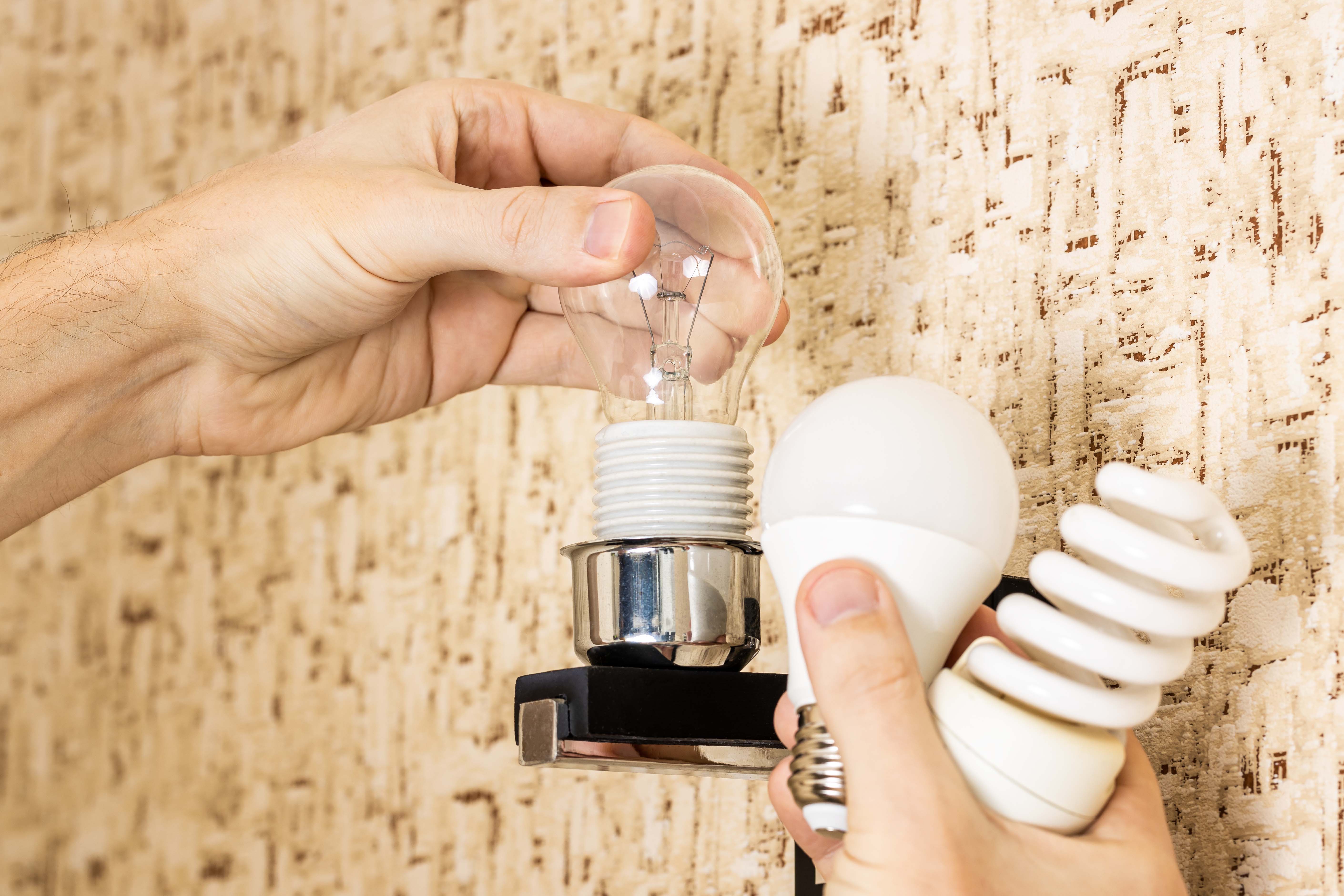 handyman changing electricity efficiency light bulb concept. various light bulbs at person hand. replacing lightbulb at wall lamp
