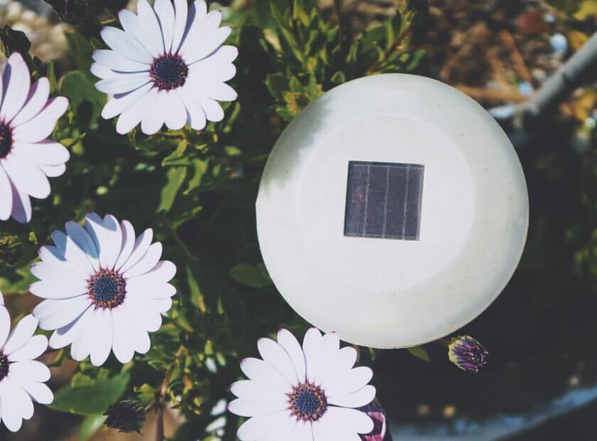 Little solar panel surrounded by flowers